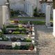 wrongful death grave stones with flowers